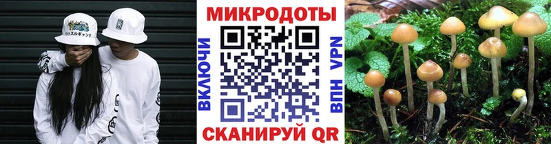 Галлюциногенные грибы Psilocybine cubensis  Тулун 